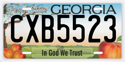 GA license plate CXB5523