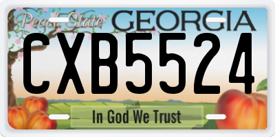 GA license plate CXB5524