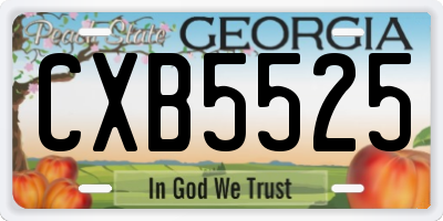 GA license plate CXB5525