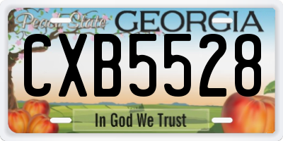 GA license plate CXB5528