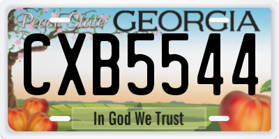 GA license plate CXB5544