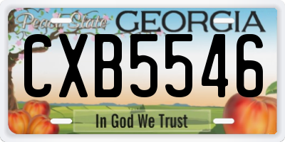 GA license plate CXB5546