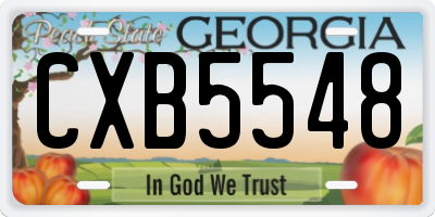 GA license plate CXB5548
