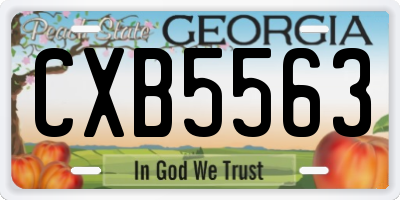 GA license plate CXB5563