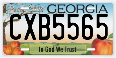 GA license plate CXB5565