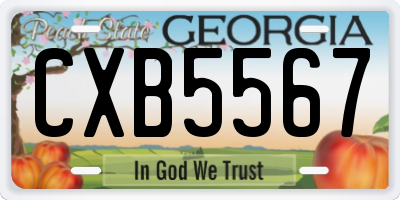 GA license plate CXB5567