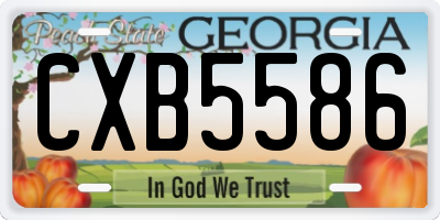 GA license plate CXB5586