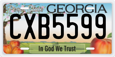 GA license plate CXB5599