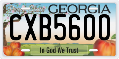 GA license plate CXB5600