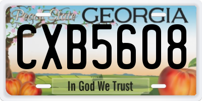 GA license plate CXB5608