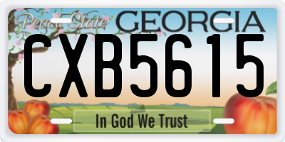 GA license plate CXB5615