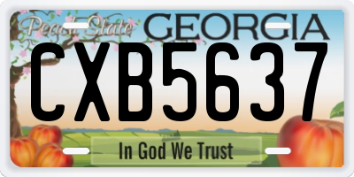GA license plate CXB5637