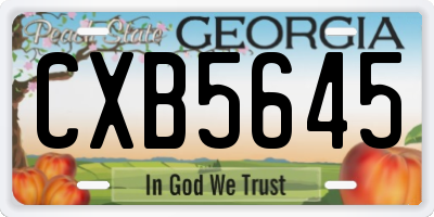GA license plate CXB5645