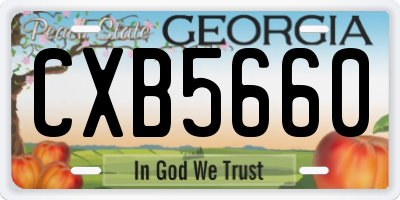 GA license plate CXB5660