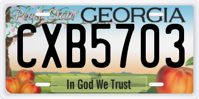 GA license plate CXB5703