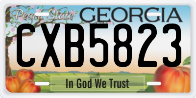 GA license plate CXB5823