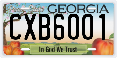 GA license plate CXB6001