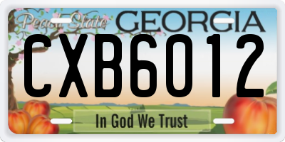 GA license plate CXB6012