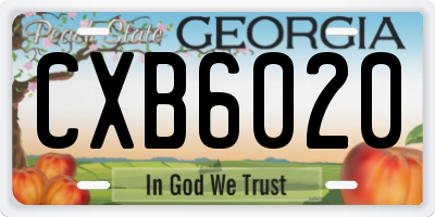 GA license plate CXB6020