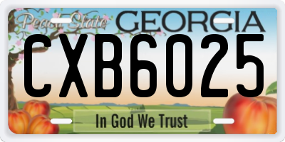 GA license plate CXB6025