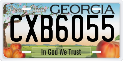 GA license plate CXB6055