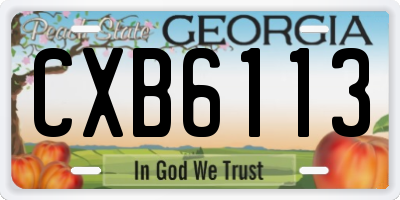 GA license plate CXB6113