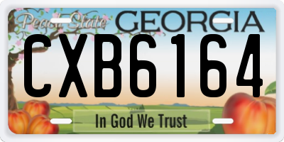 GA license plate CXB6164
