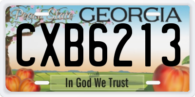 GA license plate CXB6213