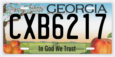 GA license plate CXB6217