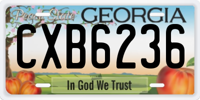 GA license plate CXB6236