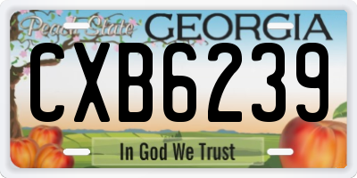 GA license plate CXB6239