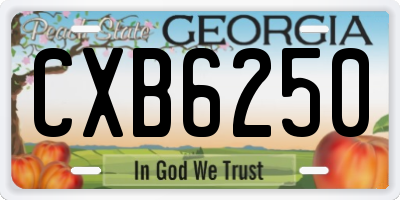 GA license plate CXB6250