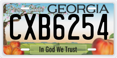 GA license plate CXB6254