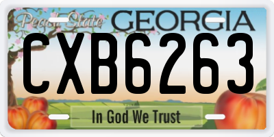 GA license plate CXB6263