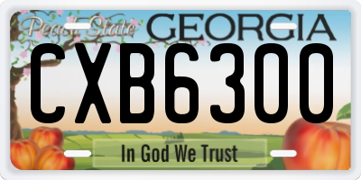 GA license plate CXB6300