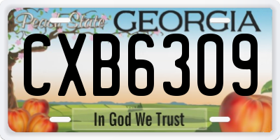 GA license plate CXB6309