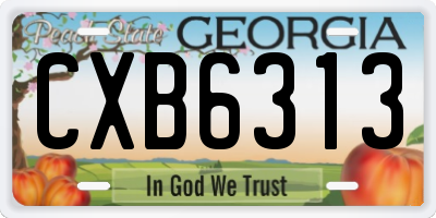 GA license plate CXB6313