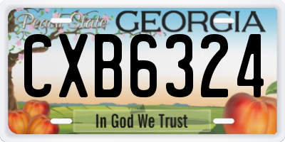 GA license plate CXB6324