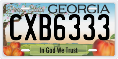 GA license plate CXB6333