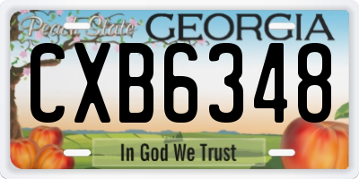 GA license plate CXB6348