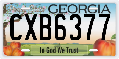 GA license plate CXB6377
