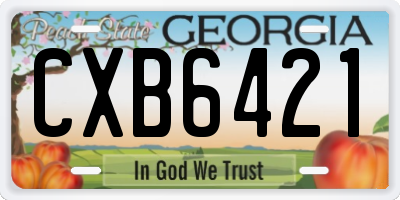 GA license plate CXB6421