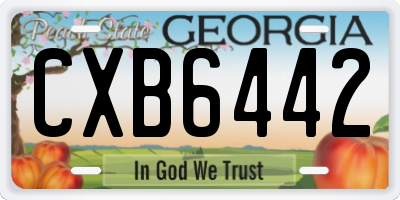 GA license plate CXB6442