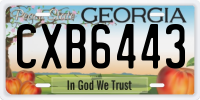 GA license plate CXB6443