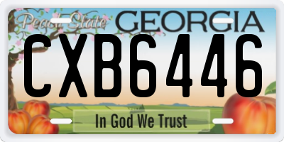 GA license plate CXB6446