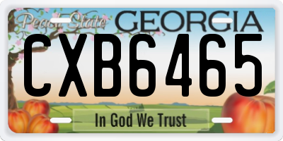 GA license plate CXB6465