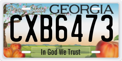 GA license plate CXB6473