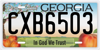 GA license plate CXB6503