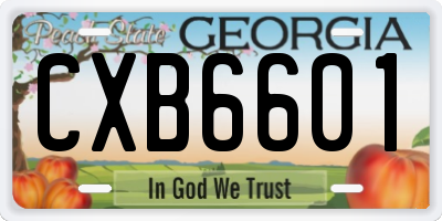 GA license plate CXB6601