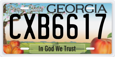 GA license plate CXB6617